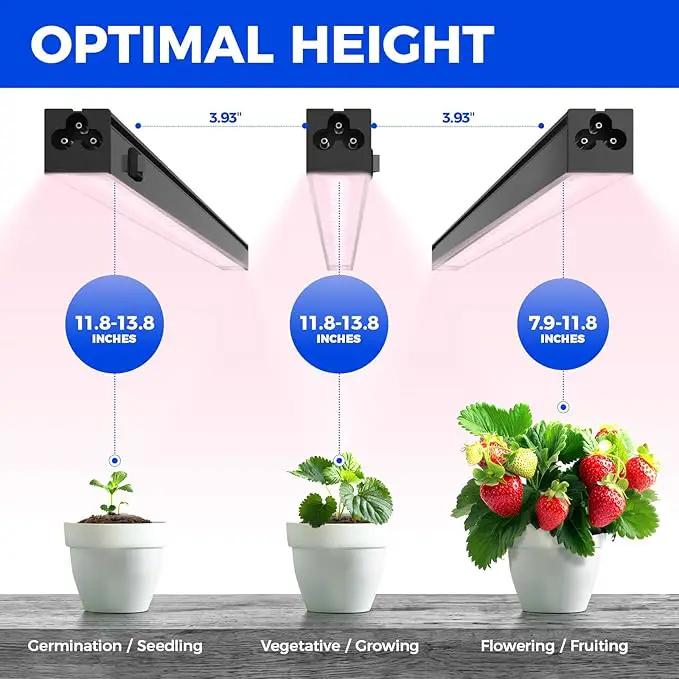 Barrina T5 Grow Light, LED Grow Lights with Black Cover, Full Spectrum Grow Light Strips, 1ft Pinkish White Plant Lights for Indoor Plants, Greenhouses, Plant Displays, Linkable Design, 8 Packs by GreenHaven Gardens