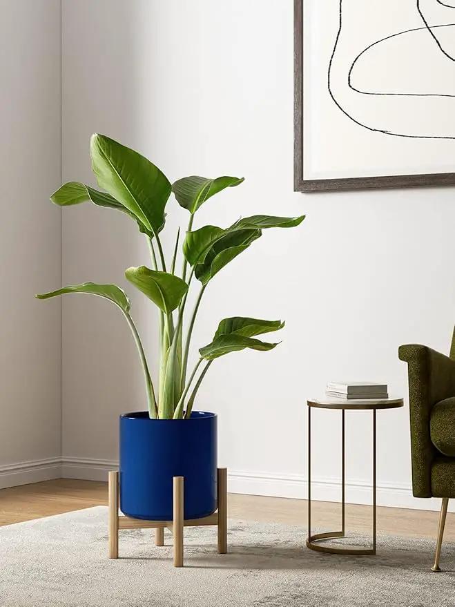 LE TAUCI Ceramic Plant Pots Indoor, 10+8+6 Inch Planters for Indoor Plants, Mid-Century Modern Flower Pots with Drainage Hole and Plug, Cylinder Round Planters, Set of 3, Sapphire Blue by GreenHaven Gardens