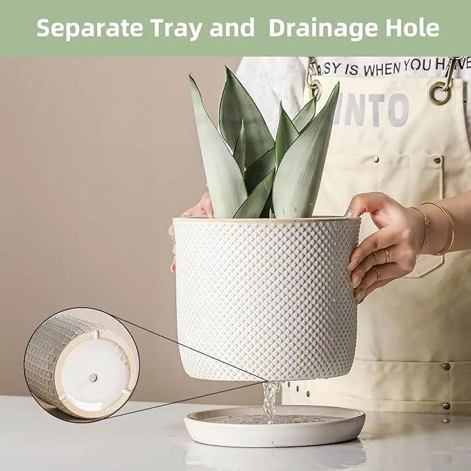8 Inch Plant Pots: Ceramic Planter with Drainage Hole & Saucer - Flowerpot for Indoor & Outdoor Plants - Beaded Embossed Design White - with Separate Tray by GreenHaven Gardens