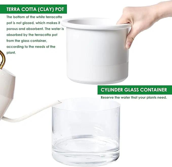 Phoenix Vine 6 Inch 4 Inch Self Watering Planter Pots, Design White Terracotta Pots for Plants, Indoor Cylinder Terra Cotta Pots with Glass Vase Set, 51-B-G-46 by GreenHaven Gardens