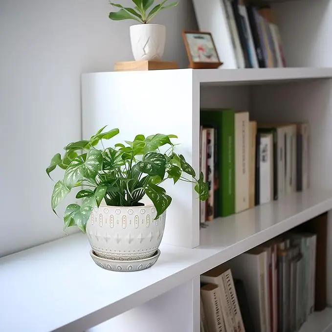 G EPGardening Ceramic Plant Pot - Succulent Pots with Drainage Hole and Saucer 5 Inch Planter for Indoor Plants Outdoor Decorative Round Flower Pot White by GreenHaven Gardens