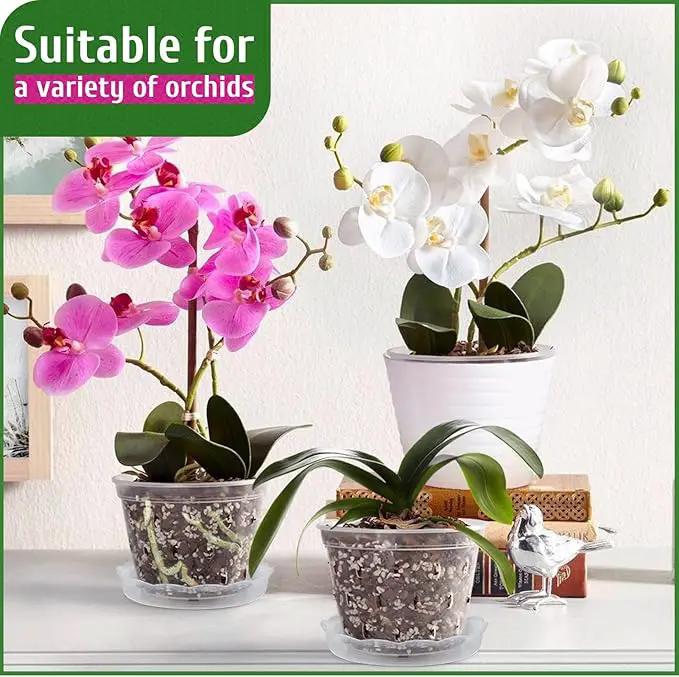 REMIAWY Orchid Pot, 8 Pack Orchid Pots with Holes and Saucers, 5.5 Inch Clear Plastic Flower Planters for Repotting Indoor Outdoor, Breathable Slotted Nursery Planter by GreenHaven Gardens
