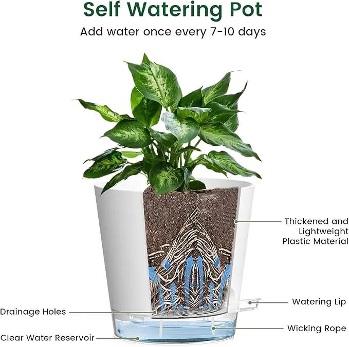 6 inch Self Watering Pots for Indoor Outdoor Plants, 6 Pack Flower Plant Pots with Drainage Holes and Clear Reservoirs, Visible Water Level, Plastic Planters with Wicking Rope, White by GreenHaven Gardens