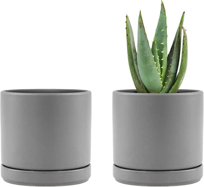 D'vine Dev Set of 2 Plants Pots, 4.6 Inch Ceramic Planter Pot for Plants with Drainage Hole and Saucer, Speckled Grey, 94-V-B-3 by GreenHaven Gardens