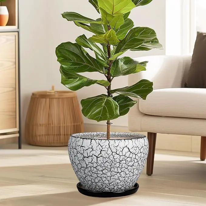 Ceramic Planters for Indoor Plants - 10 Inch Plant Pot with Drainage Hole and Saucer, Large Flower Pot for Home Decor, White/Black by GreenHaven Gardens