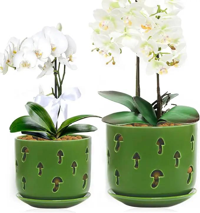KERUITA Orchid Pots with Holes, 6 inch + 5 inch Orchid Planters with Dancing Mushroom Shaped Holes, Enhanced Drainage and Ventilation,Green Flower Pots for Indoor/Outdoor Plants for Repotting by GreenHaven Gardens