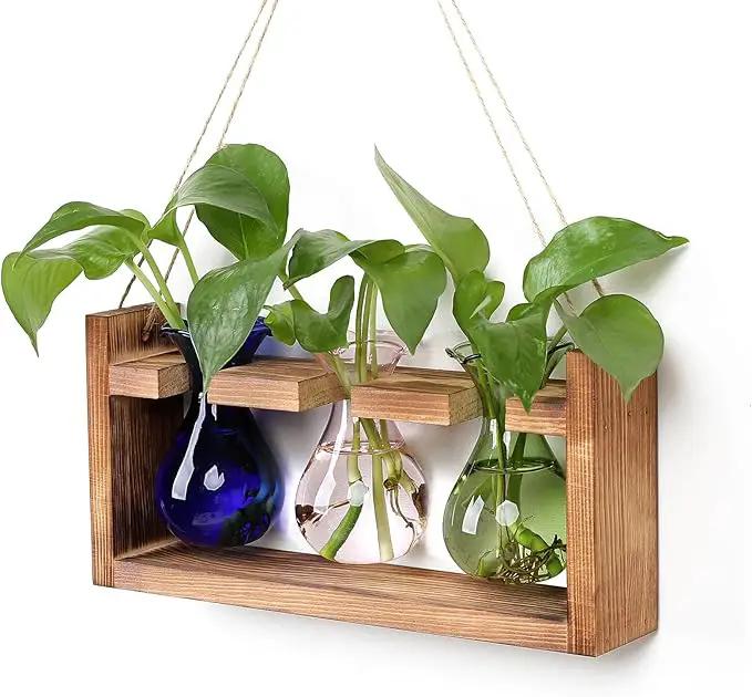 Plant Propagation Station Plant Terrarium Unique Birthday Gifts for Women Plant Lovers Home Office Decor Planter with Wooden Stand - 3 Bulb Glass Vase by GreenHaven Gardens