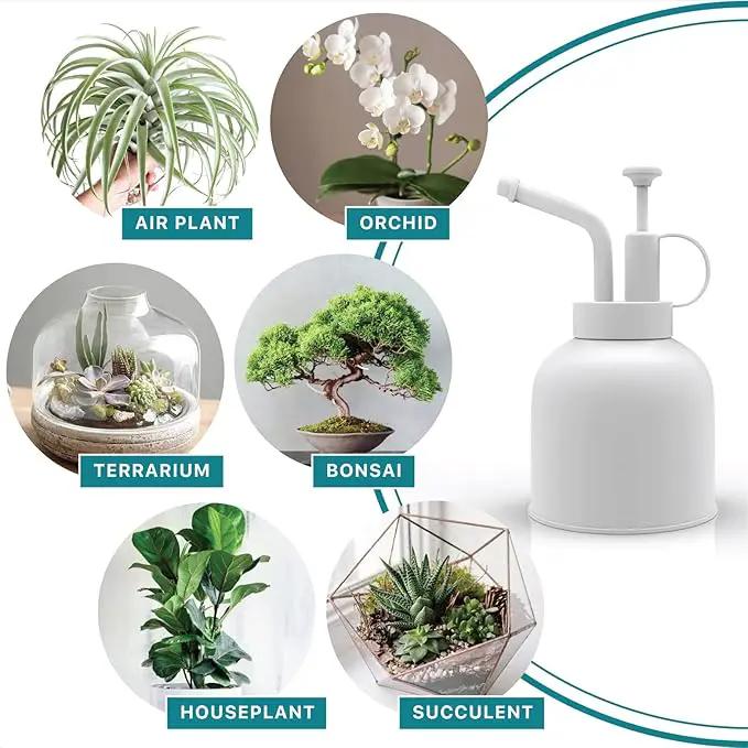 Plant Mister Spray Bottle Stainless Steel Watering Can for Indoor Plants Bonsai Sprayer Succulent Spritzer Houseplant Atomizer Terrarium Mister Modern Garden Tools 10oz/300ml White by GreenHaven Gardens