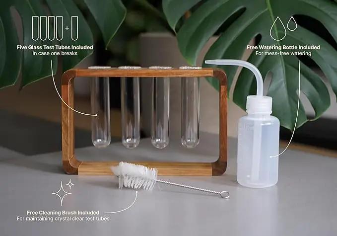 Source & Plot - Plant Propagation Station - Acacia Wood Stand 4 Glass Test Tube Hydroponic Tabletop Rooting Terrarium Planter Rack Home and Office Decor - Last Batch by GreenHaven Gardens