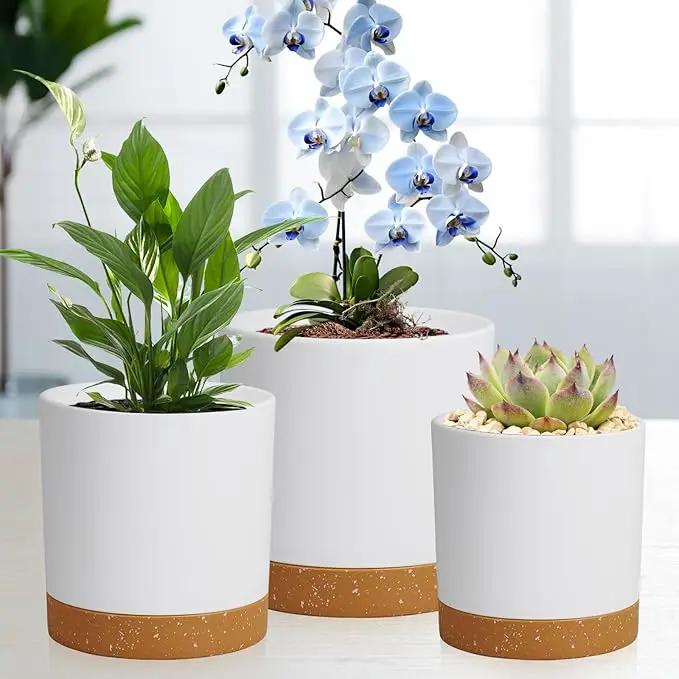 3 Pack 6/5/4 inch Cylindrical Flower Pots, Modern Small Round Plastic Plant Pots with Drainage Holes & Saucers, Clean and Refined Planter Pots for Outdoor, Indoor & Office Decor (White Brown) by GreenHaven Gardens