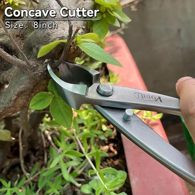 6-Piece Bonsai Tool Set,Concave Cutter,Knob Cutter,Jin Pliers,Wire Cutter,Bonsai Scissors, Root Hook by GreenHaven Gardens