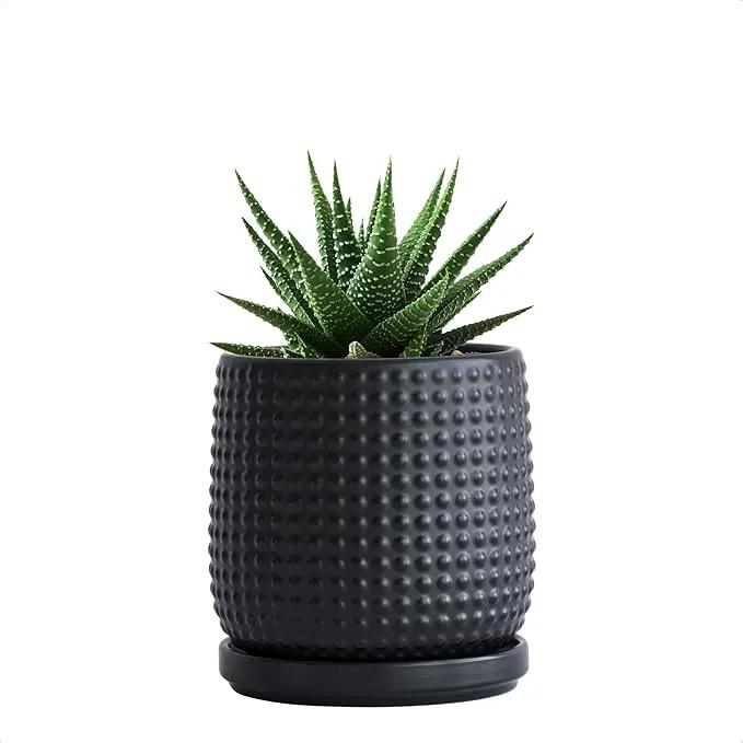 D'vine Dev 4 Inch Ceramic Beaded Stoneware Planter Pot - Flower Pot with Drainage Holes and Saucers for Indoor Succulent Plants or Flowers, Ebony Matte, 27-C-Z-6 by GreenHaven Gardens