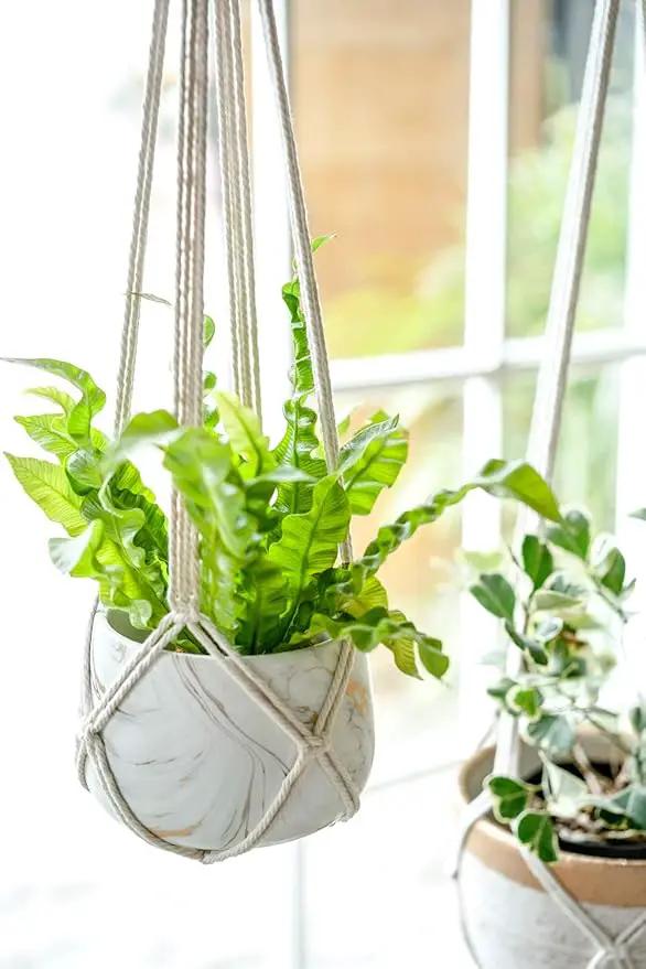 Dahey Macrame Plant Hanger Set of 3 with Hooks Indoor Hanging Planter Basket 35"/29"/23" Handmade Woven Cotton Rope Flower Pot Crochet Plant Holder Stand for Boho Home Decor No Tassels,Beige by GreenHaven Gardens