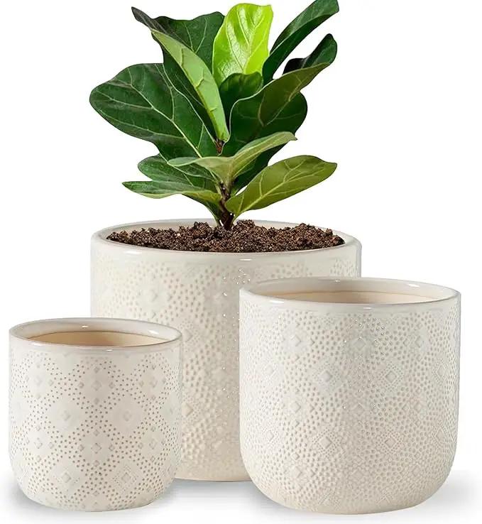 Docrin Ceramic Plant Pots Indoor：6.5+5.3+4 Inch Planters with Drainage Holes for Home/Office - Set of 3 / White by GreenHaven Gardens