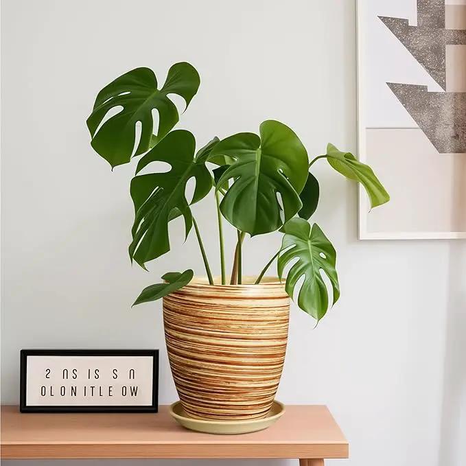 8 Inch Plant Pot, Ceramic Planter with Drainage Hole and Saucer Large Flower Pot for Home Patio Garden Office, Yellow by GreenHaven Gardens