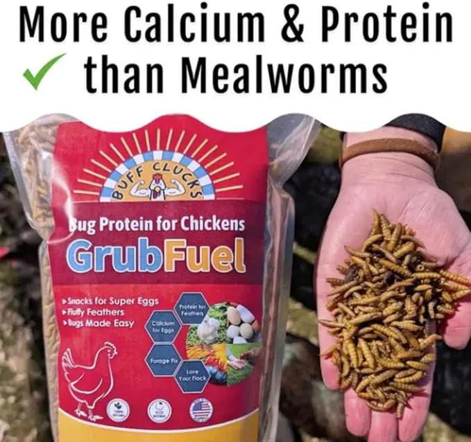 Grub Fuel Black Soldier Fly Larvae for Chickens - Nutrient Packed BSFL, Sustainably Sourced Snack for Poultry, Rich in Protein, Calcium, Fiber, Essential Fatty Acids, USA Grown (5LB) by GreenHaven Gardens