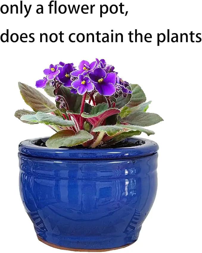 African Violet Pots Self Watering Round Ceramic Violet Pot (Blue, 6 inch) by GreenHaven Gardens