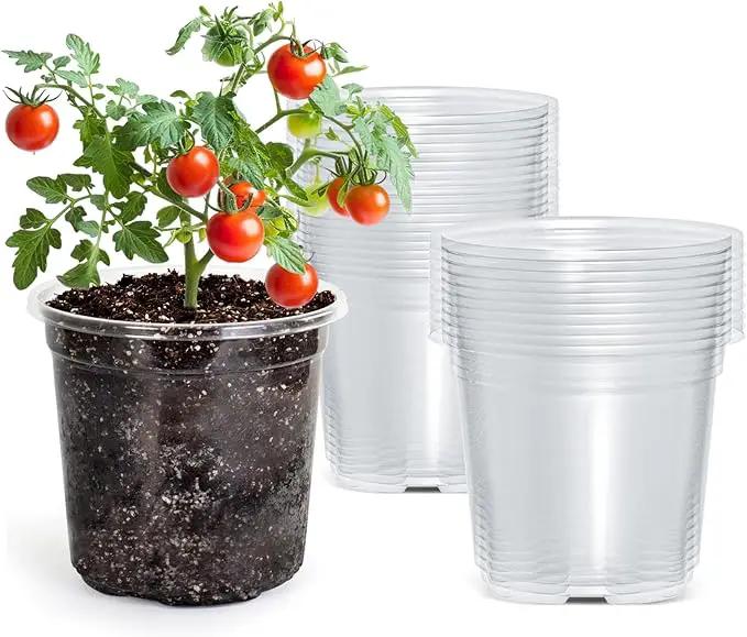 30 Packs 5 Inch Reinforced Clear Nursery Pots with Drainage Hole, Transparent Variety Pack Plastic Plant Pot Seedling Planter Seed Starter Flower by GreenHaven Gardens