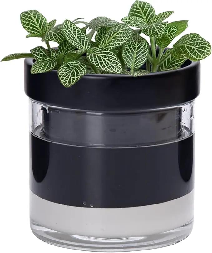 Phoenix Vine 4 Inch Self Watering Terracotta Planter, Black Terracotta Clay Pot with Glass Reservoir for Indoor Plants, Herbs, Flowers, Set of 1, 52-C-E-1 by GreenHaven Gardens