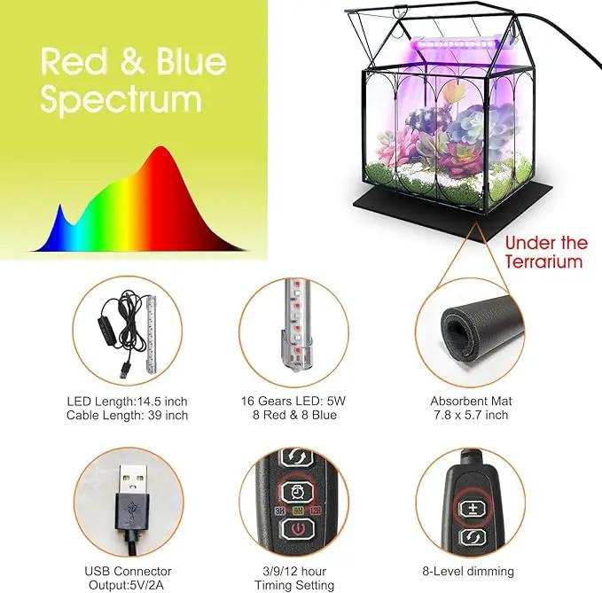Plant Terrarium with Grow Light, Rifny Indoor House Shape Glass Terrarium Kit with Lid, Small Terrarium Jar Planter for Venus Fly Trap Succulent Live Air Plants Decor for Home Office (Without Plants) by GreenHaven Gardens