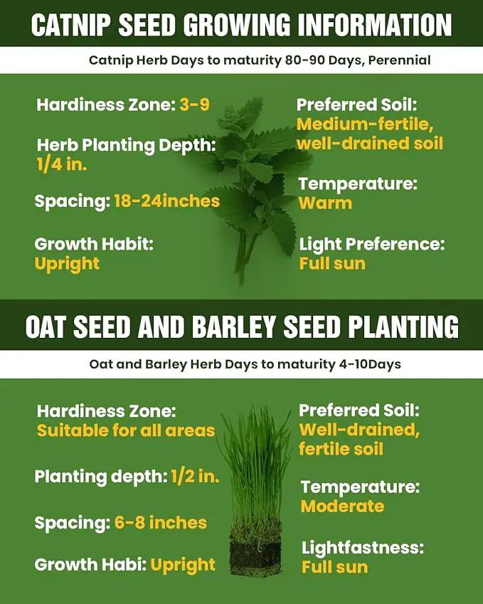 Organic Cat Grass & Catnip Seeds Kit – 3 Pack Oat & Barley Grass for Indoor Cats – Fast 7-Day Growth, High Germination, Hairball Control & Play – Pet-Safe Planting Set by GreenHaven Gardens