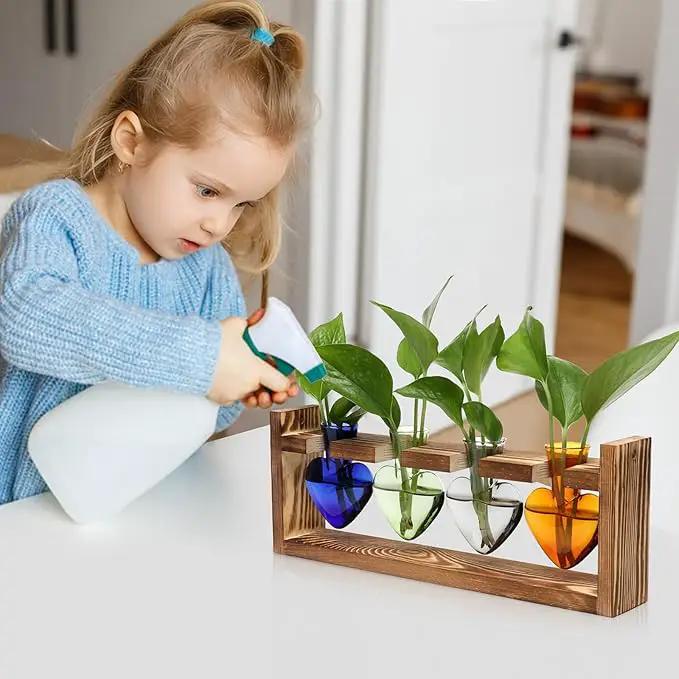 Plant Propagation Stations Heart Plant Terrarium Kit Gift for Women Plant Lover Glass Vases by GreenHaven Gardens
