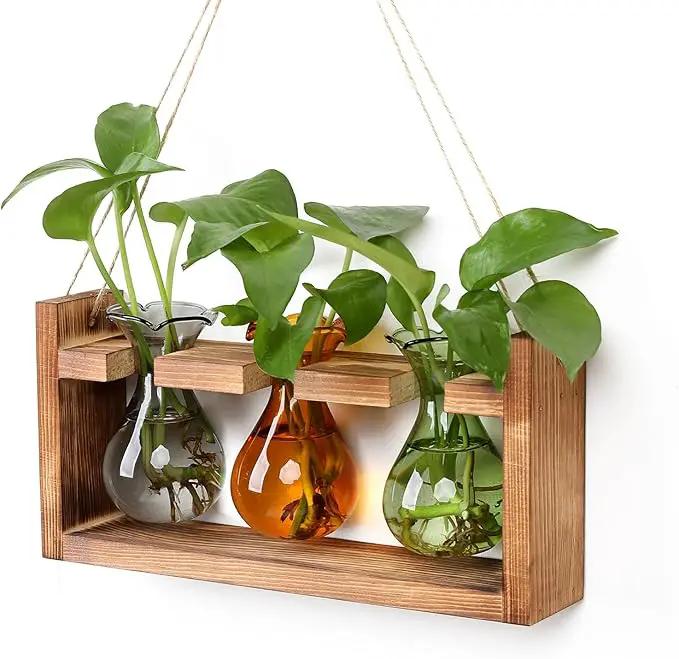 Plant Propagation Station Plant Terrarium Unique Birthday Gifts for Women Plant Lovers Home Office Decor Planter with Wooden Stand - 3 Bulb Glass Vase by GreenHaven Gardens