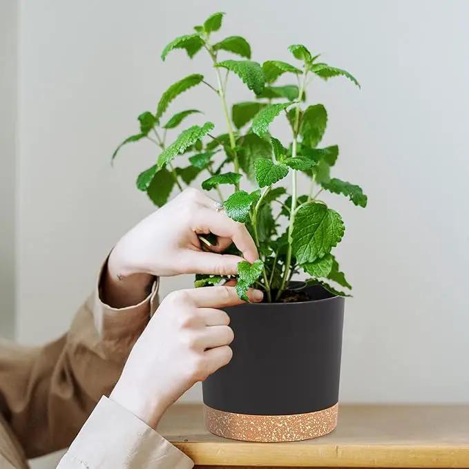 QCQHDU 5 inch Plant Pot, 2 Pack Planters for Indoor Plants with Drainage Holes & Saucer, Outdoor Flower Pots Home Garden Modern Decor by GreenHaven Gardens