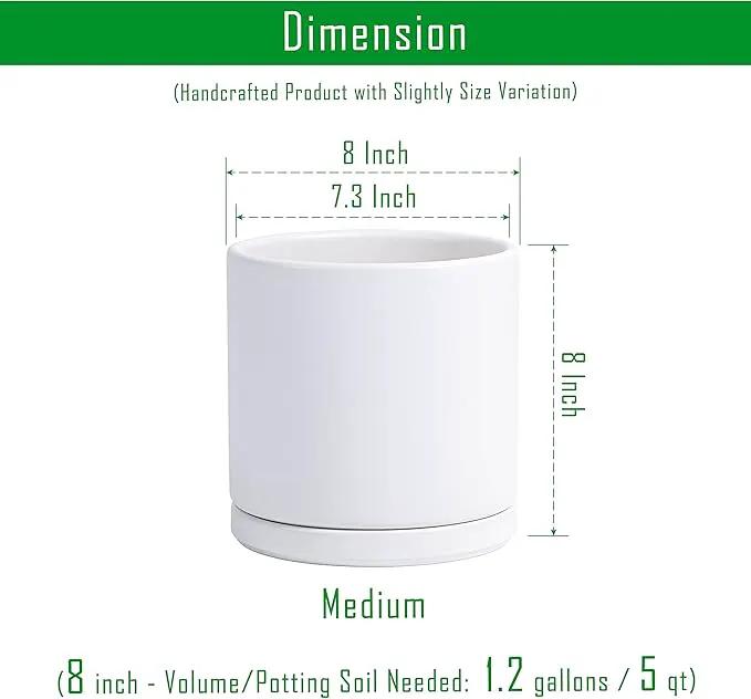 D'vine Dev 8 Inch Ceramic Planter Pot with Drainage Hole and Saucer, Indoor Cylinder Round Planter Pot, White, 94-O-D-1 by GreenHaven Gardens