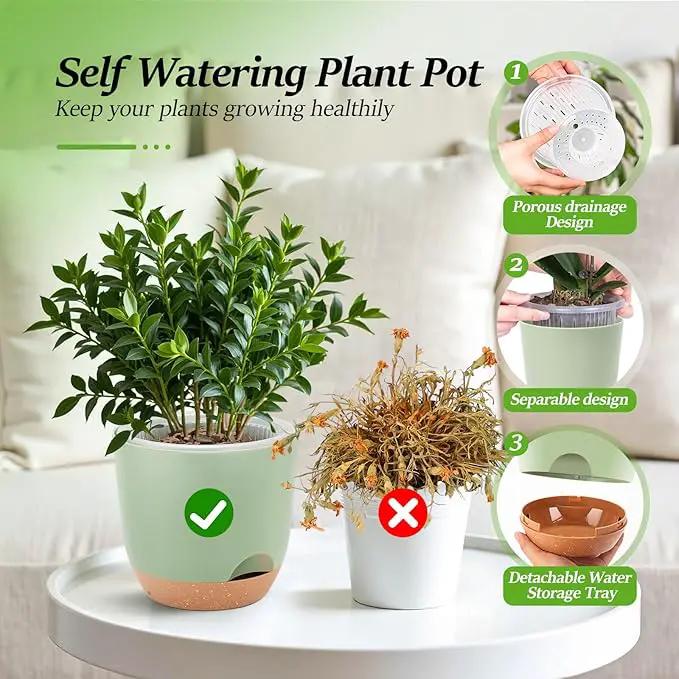 Self Watering Orchid Pots for Indoor Plants,5.8 Inch Macetas para Orqudeas,Flower Pots for Indoor Plants with Holes(Green) by GreenHaven Gardens