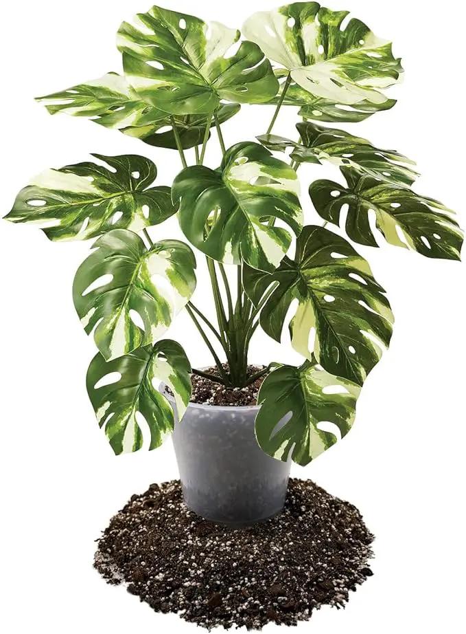 Premium Aroid Potting Mix - 20 Quart - Soil Free Blend for Aroids - Growing Medium for House Plants by Gardenera - (4 Bags of 5 Quart) by GreenHaven Gardens