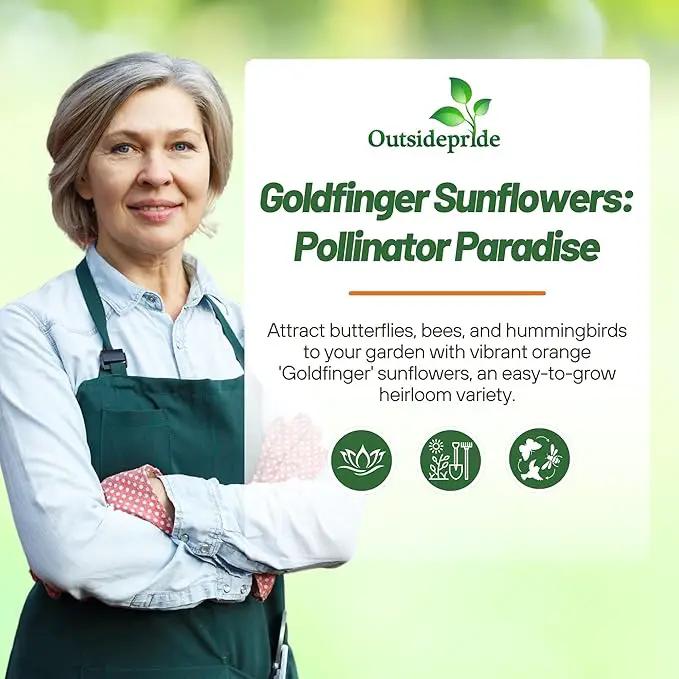 Outsidepride Goldfinger Mexican Sunflower Seeds - 500 Pcs Annual, Easy-to-Grow, Orange Tithonia Speciosa Flower Seeds w/Drought-Tolerant Blooms for Pollinator Gardens & Vibrant Summer Landscaping by GreenHaven Gardens