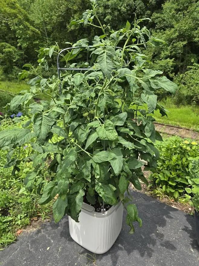 Vego garden Planters for Outdoor & Indoor Plants, Large Plant Pots with Self Watering, 15" Tall Large Plant Pots with Trellis for Flowers Plants Decor, Cream White by GreenHaven Gardens