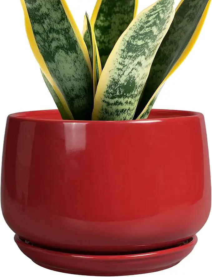 G EPGardening Ceramic Planter 7 Inch - Flower Pots for Indoor Plants, Round Planter with Drainage and Ceramic Tray, Modern Plant Pot, Bathroom Decor, Teacher Gifts, Red by GreenHaven Gardens