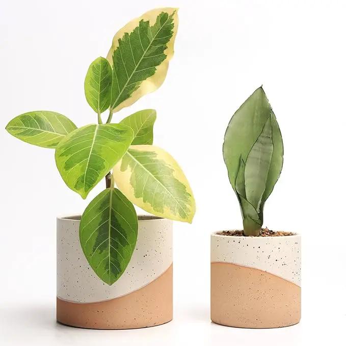 Ceramic Pots for Indoor Plants, 2 Set Flower Pots 5.4/4.3 Inch with Drainage, Double Color Glazed Speckled White & Terracotta Bottom Ceramic Planter Idea for Plant Lovers by GreenHaven Gardens