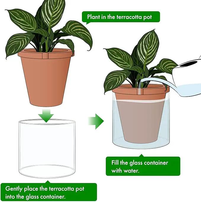 D'vine Dev 10 Inch Design Self Watering Pot for Indoor Plants, Terracotta Planter with Cylinder Glass Cup, Set of 1, 37-X-D-1 by GreenHaven Gardens