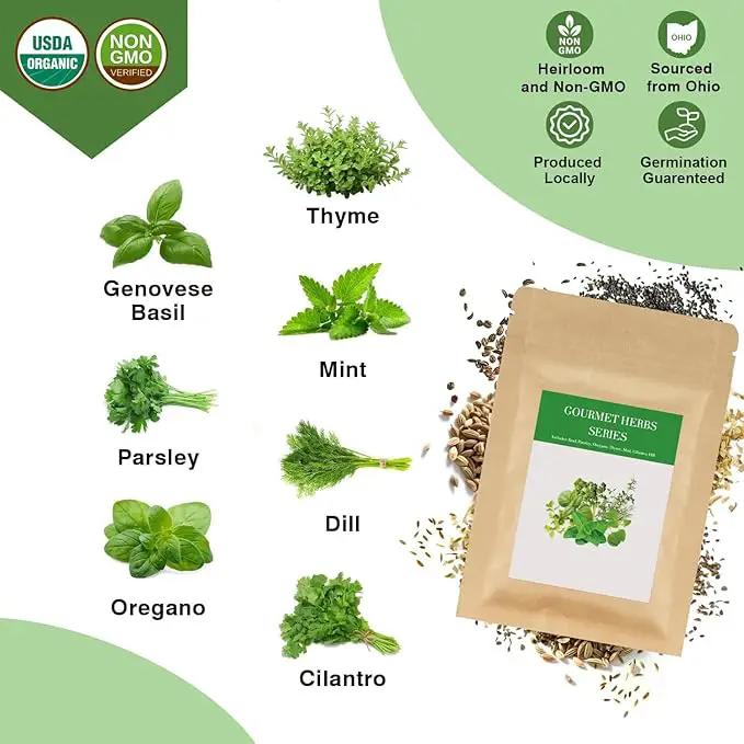 Gourmet Herbs Seed Pod Kit for AeroGarden, iDoo, Ahopegarden, MUFGA Hydroponics Garden with Basil, Parsley, Thyme, Mint, Cilantro, Dill, Oregano - Compatible with All Hydroponics (7-Pod) by GreenHaven Gardens