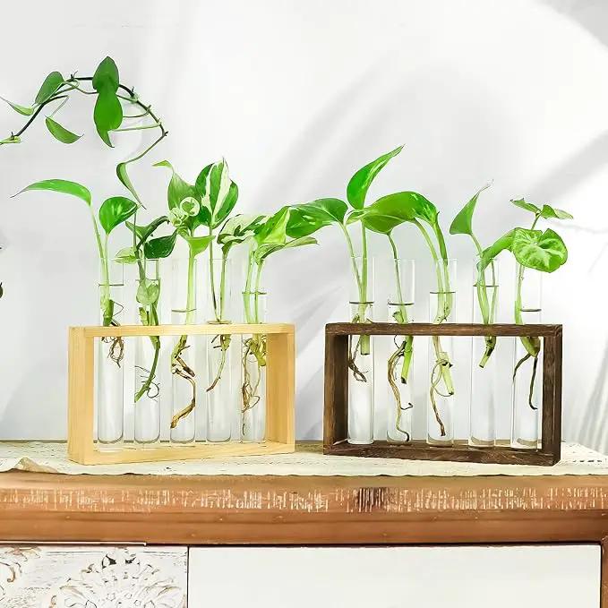 Ivolador Plant Propagation Station Terrariumin Wall Test Tube Vases Bud Tabletop Glass Wooden Stand with 5 Propagation Tubes for Propagating Hydroponic Plants Home Garden Wedding Decoration-Beige by GreenHaven Gardens
