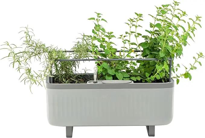 Vego Garden Herb Indoor Plant Box, Self Watering Planters Pots for Indoor Plants with Trellis for Kitchen Window Sill or Countertop Plants Cage - Fog Gray by GreenHaven Gardens