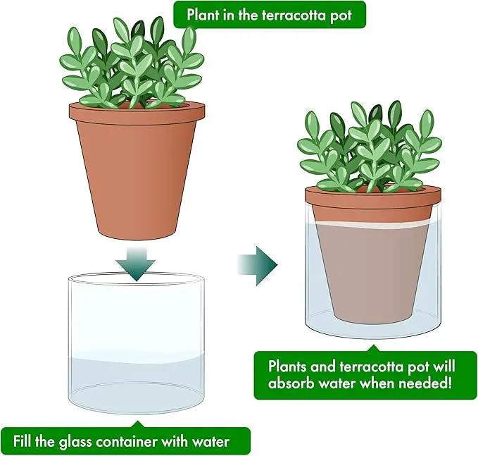 D'vine Dev 4 Inch Design Self Watering Planter for Indoor Plants, Terracotta Pot with Cylinder Glass Cup, Set of 4, 37-X-A-4 by GreenHaven Gardens