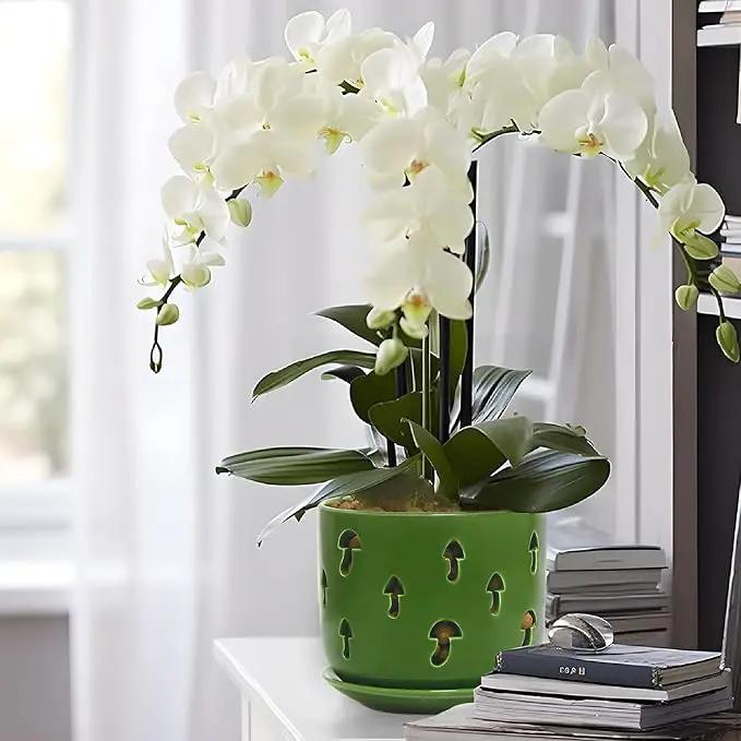 KERUITA Orchid Pots with Holes, 6 inch + 5 inch Orchid Planters with Dancing Mushroom Shaped Holes, Enhanced Drainage and Ventilation,Green Flower Pots for Indoor/Outdoor Plants for Repotting by GreenHaven Gardens