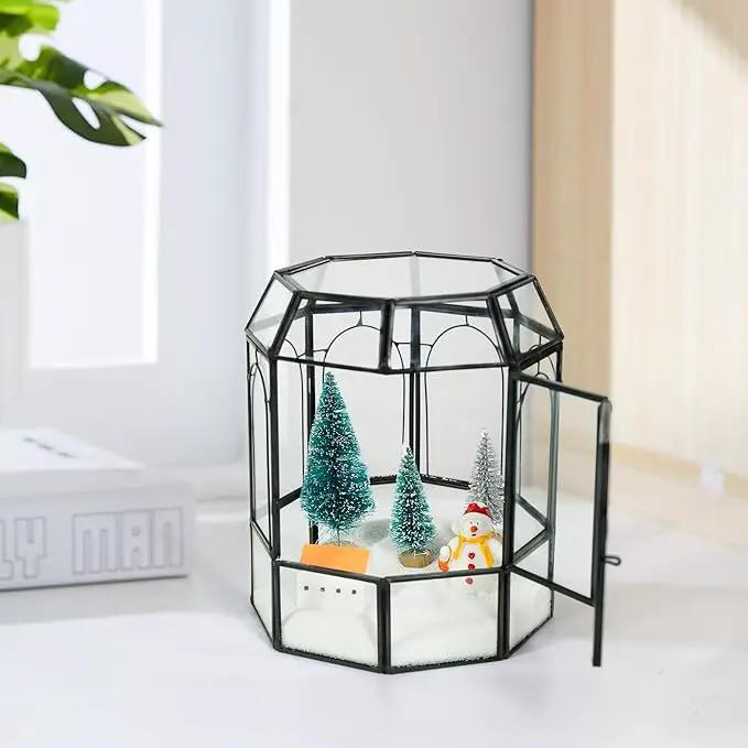Ferrisland Glass Terrarium Plants with Lid, Black Geometric Terrarium Jar for Succulent Air Carnivorous Plant Moss Snail, Birdcage Shape Tabletop Greenhouse Indoor Decor DIY Presents (Only Terrarium) by GreenHaven Gardens