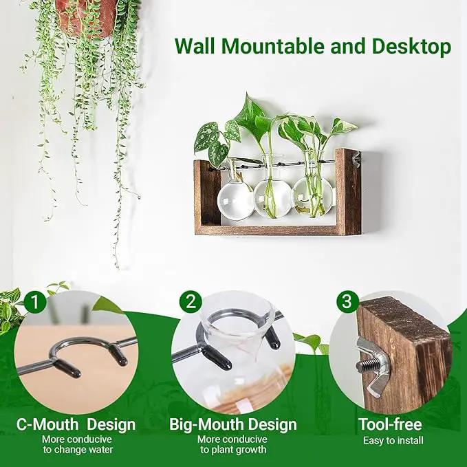 Ivolador Wall Hanging Plant Propagation Station,Bulb Plant Terrarium with Wooden Stand,Unique Gardening Gifts for Women Plant Lovers,Hydroponic Indoor Planter Home Office Decor-3 Bulb Glass Vases by GreenHaven Gardens