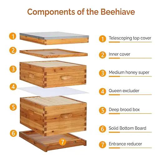 VINGLI 10 Frames Beehive, Complete Beehive Kit Includes 1 Deep Boxes, 1 Medium Box, Frames and Waxed Foundations, for Yard, Field, Bee Farm (2 Layer) by GreenHaven Gardens
