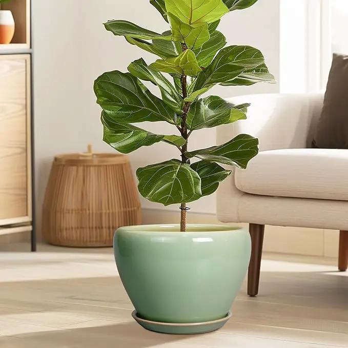 Ceramic Planter Pot - 10 Inch Plant Pot for Indoor Plants Decorative Planter with Drainage Hole and Saucer Large Pot for Plants Outdoor Round Flower Pot for Garden Green by GreenHaven Gardens