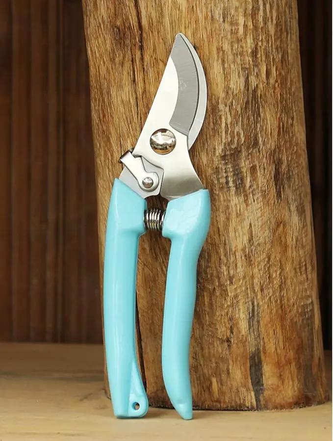 Curve Gardening Scissor with Sharp Stainless Steel Blade Garden Shears for Cutting Flowers Trimming Plants of Yard Florist Flower Rose Herb Hedge Bonsai and Fruits Picking by GreenHaven Gardens