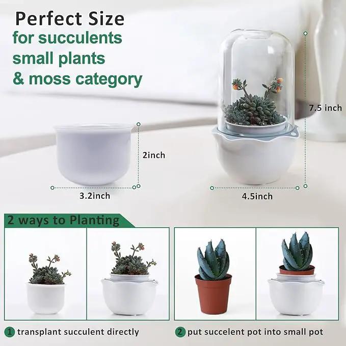 Smart Venus Fly Trap Terrarium Pot with Timer&Fan,Succulent Planter with Grow Light,Indoor Plant Pots Terrarium with Drainage Hole for Carnivorous Plants,Sundew Moss,Cactus(No Plant) by GreenHaven Gardens