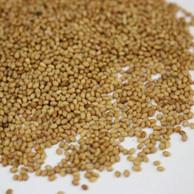 Crimson Clover Seeds (Coated) - 5 Lb - Garden Cover Crop, Non-GMO, Open Pollinated, Perennial, Heirloom - Coated for Easy Planting by GreenHaven Gardens