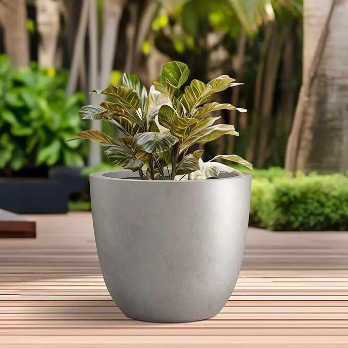 Kante 10 Inch Dia Round Concrete Planter, Indoor Outdoor Large Plant Pot with Drainage Hole and Rubber Plug for Home Patio Garden, Buff Concrete by GreenHaven Gardens