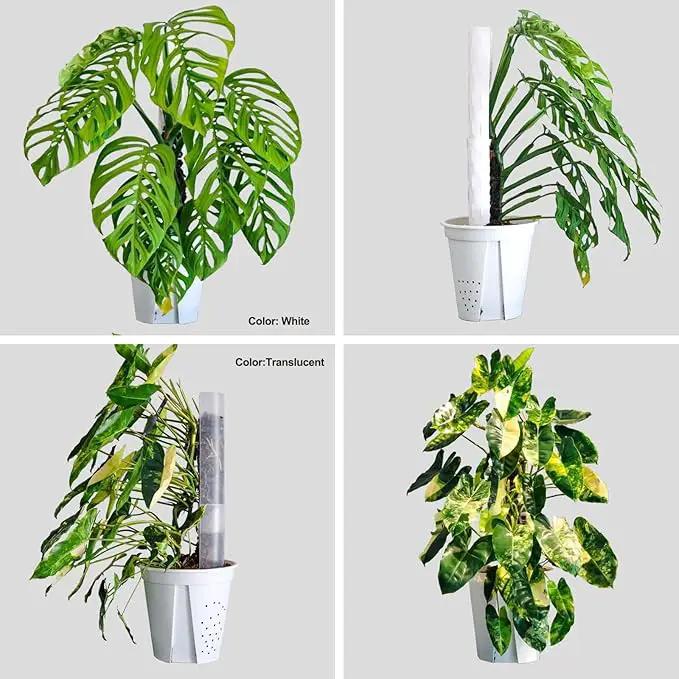4 Pcs 17 Inch Plastic Moss Pole for Plants Monstera, Stackable Plant Support for Indoor Climbing Plants, Clear Plant Poles with 2pcs Garden Ties Work with Sphagnum Moss by GreenHaven Gardens
